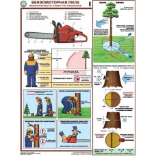 Бензомоторная пила. Безопасность работ на лесосеке/П3-ПИЛА